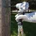 Impact Wrench, 7/16 F.C.